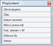 Okno "Přizpůsobení"