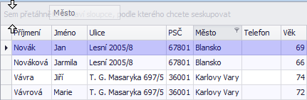 Přesunutí sloupce do seskupovacího panelu